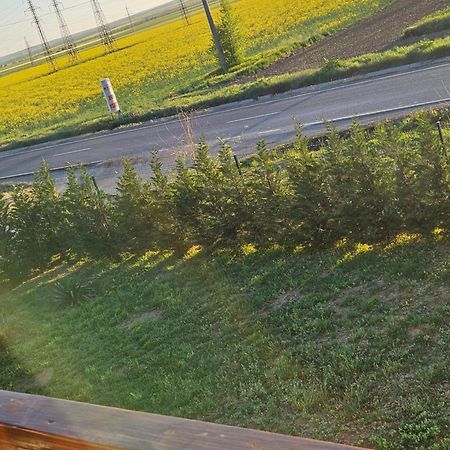 Pensiunea Camelia Baia Екстер'єр фото