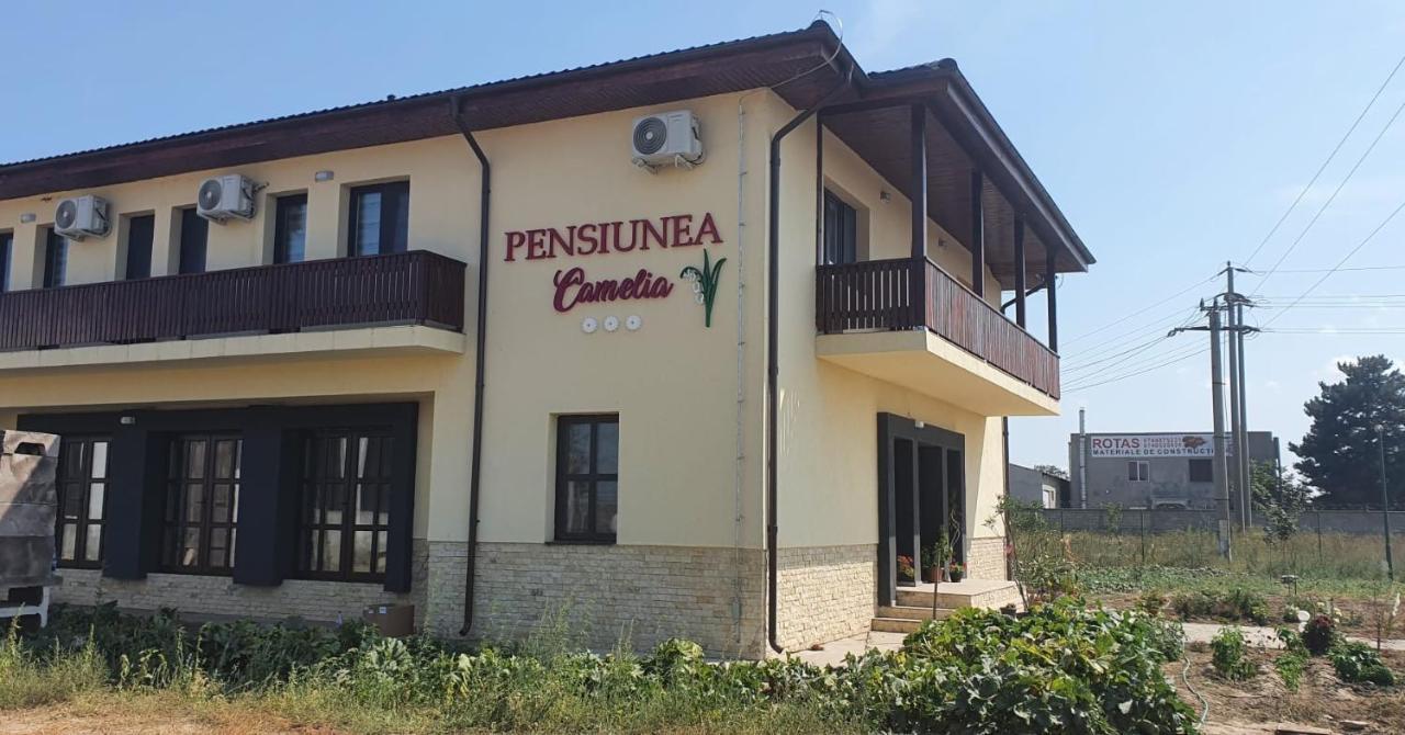 Pensiunea Camelia Baia Екстер'єр фото